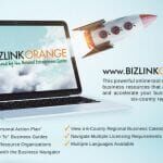 BIZLINKORANGE